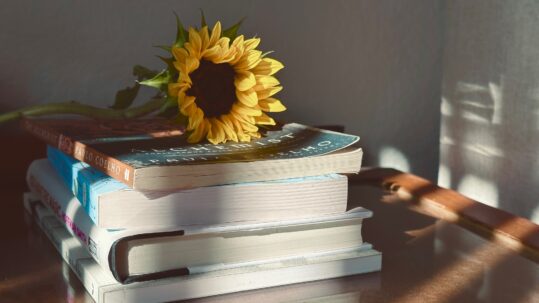 a sunflower on a stack of books