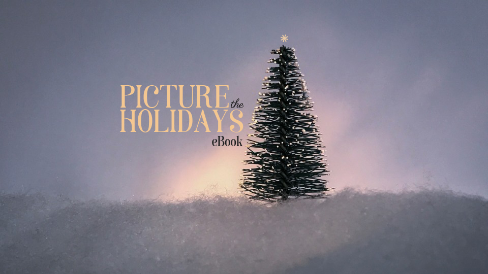 Picture the Holidays EBook