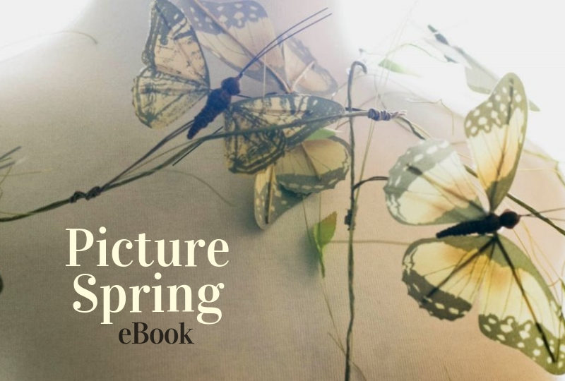 Picture Spring eBook Header